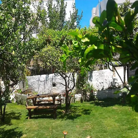 La Pergola 3* Bodrum
